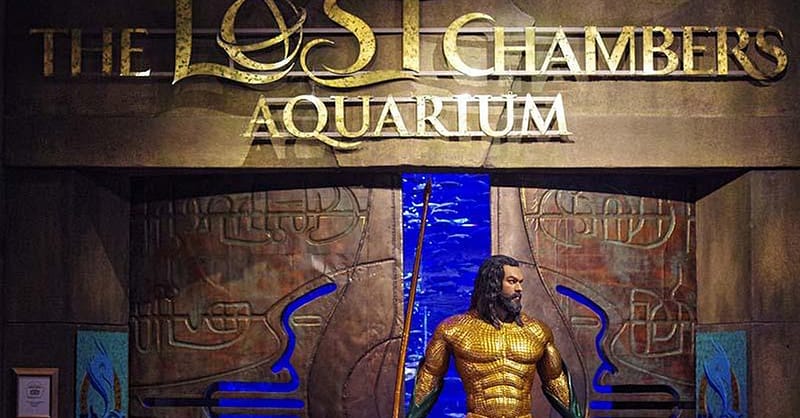 Explore DubaiâS Lost Chambers Aquarium: Tickets For One, Two, Or Four Dubai - Image 20
